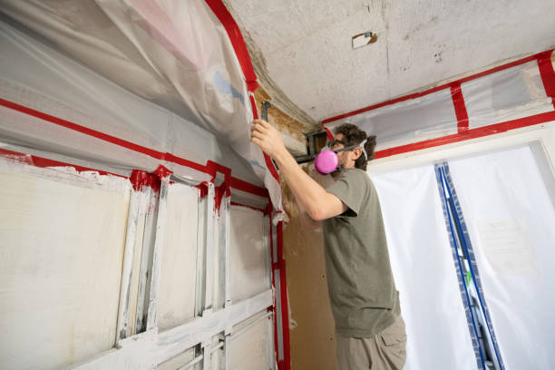 Best Asbestos and Lead Testing During Mold Inspection  in Elwood, UT