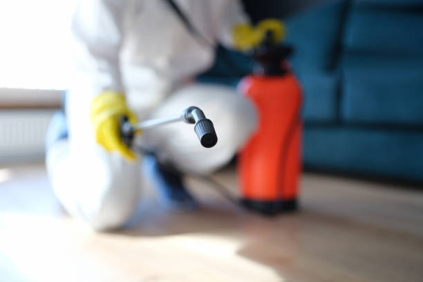Best Environmental Consulting for Mold Prevention  in Elwood, UT