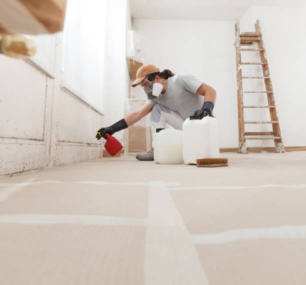 Best Mold-Related Health Consultation  in Elwood, UT