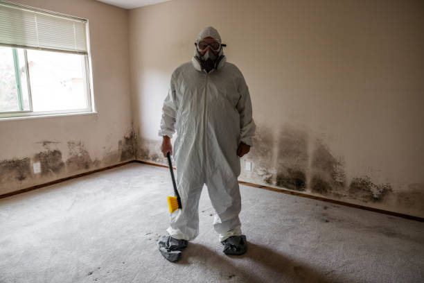 Best Post-Remediation Verification Testing  in Elwood, UT