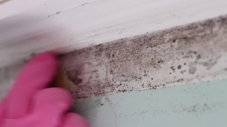 Best Indoor Air Quality Assessment  in Elwood, UT